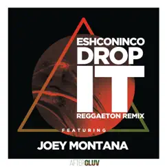 Drop It (feat. Joey Montana) [Reggaeton Remix] - Single by Eshconinco album reviews, ratings, credits