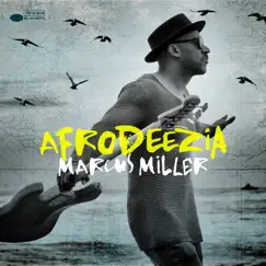 Afrodeezia by Marcus Miller album reviews, ratings, credits