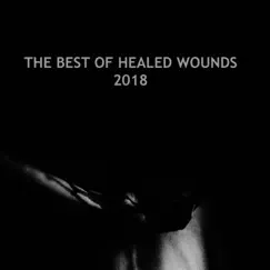 The Best of Healed Wounds 2018 by Modular Phaze album reviews, ratings, credits