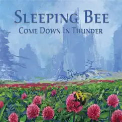 Come Down in Thunder by Sleeping Bee album reviews, ratings, credits