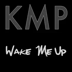 Wake Me Up (Originally Performed by Avicii) [Karaoke Instrumental] Song Lyrics