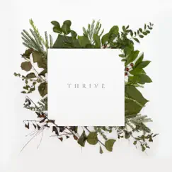 Thrive - Single by Thrive Worship album reviews, ratings, credits