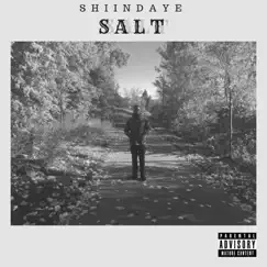 Salt - Single by Shiindaye album reviews, ratings, credits