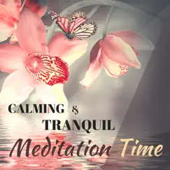 Calming and Tranquil Meditation Time - Serenity Music for Inviting Deep, Restful Sleep by Meditation Space & Meditation Guru album reviews, ratings, credits