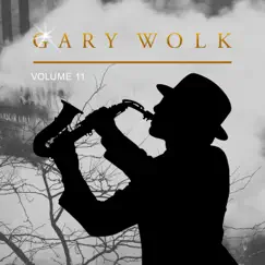 Gary Wolk, Vol. 11 by Gary Wolk album reviews, ratings, credits