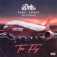 Too Fly (feat. SoDee) Song Lyrics