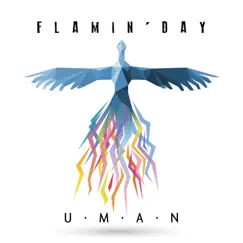 Flamin' day (Acoustic Version) Song Lyrics