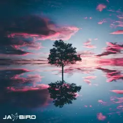 Up Here - Single by Jay Bird album reviews, ratings, credits