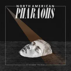 Is This What You Want - EP by North American Pharaohs album reviews, ratings, credits