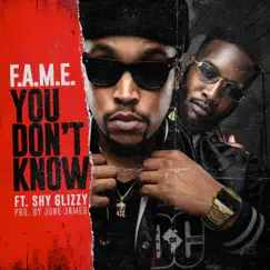You Don't Know (feat. Shy Glizzy) - Single by F.A.M.E. album reviews, ratings, credits