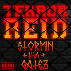 Stormin tha Gatez - Single by Terror Reid & Getter album reviews, ratings, credits