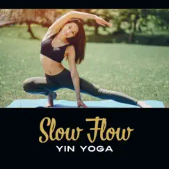 Slow Flow: Yin Yoga - Asanas for Beginners, Restorative Practice, New Age Peace, Meditation Music by Yoga Healing Sounds Unit album reviews, ratings, credits