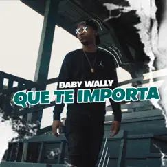 Que Te Importa - Single by Baby Wally album reviews, ratings, credits