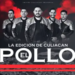 El Pollo Song Lyrics
