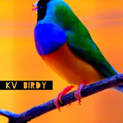 Birdy - Single by KV album reviews, ratings, credits