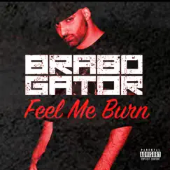 Feel Me Burn by Brabo Gator album reviews, ratings, credits