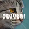 Música Relajante para Gatos 🐱 Sonidos de la Naturaleza y Música Calma para Relajar Gatos y Gatitos Inquietos album lyrics, reviews, download