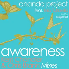 Awareness (feat. Mia Tuttavilla) by Ananda Project album reviews, ratings, credits