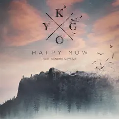 Happy Now (feat. Sandro Cavazza) Song Lyrics