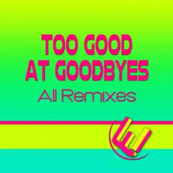 Too Good at Goodbyes (Hip Hop Remix) Song Lyrics