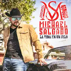 La Vida En Un Hilo by Michael Salgado album reviews, ratings, credits