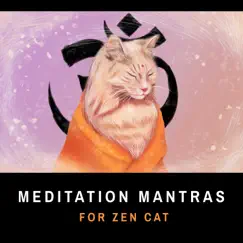 Yoga for Cats Song Lyrics