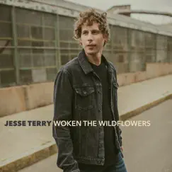 Woken the Wildflowers - Single by Jesse Terry album reviews, ratings, credits