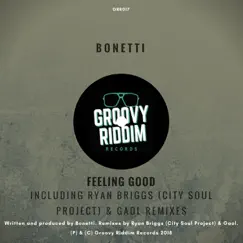 Feeling Good (Ryan Briggs) [City Soul Project Remix] Song Lyrics