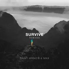 Survive (Remixes) - EP by SAINT WKND & MAX album reviews, ratings, credits
