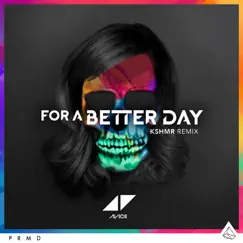 For a Better Day (KSHMR Remix) Song Lyrics