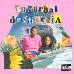 Suburban Destinesia by Jelani Aryeh album reviews, ratings, credits