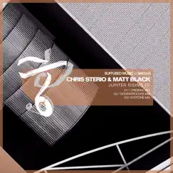 Jupiter Rising - Single by Chris Sterio, Matt Black & Downgrooves album reviews, ratings, credits