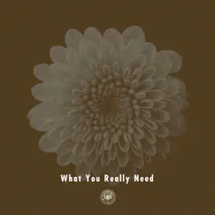 What You Really Need (feat. Miraa May) - Single by AmPm album reviews, ratings, credits