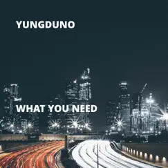 What You Need - Single by YungDuno album reviews, ratings, credits