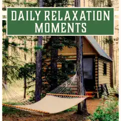Daily Relaxation Moments – Unwind Your Mind After Work: The Best Relaxing New Age Music & Calming Nature Sounds Collection by Relaxing Music Guys album reviews, ratings, credits