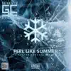 Feel Like Summer - Single album lyrics, reviews, download