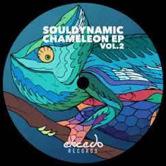 Chameleon EP, Vol. 2 - Single by Souldynamic album reviews, ratings, credits