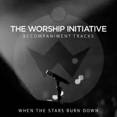 When the Stars Burn Down (The Worship Initiative Accompaniment) - Single by Shane & Shane album reviews, ratings, credits