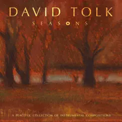 Seasons by David Tolk album reviews, ratings, credits
