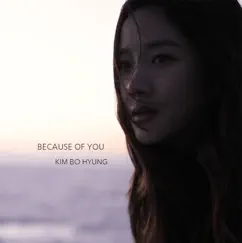 Because of You - Single by Kim Bo Hyung album reviews, ratings, credits