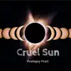 Cruel Sun - Single album lyrics, reviews, download