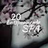 20 Entspannende Spa - Entspannende Musik der Ruhe und Entspannung, an dem Körper, Seele und Geist in Einklang kommen album lyrics, reviews, download