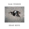 Dead Boys - Single album lyrics, reviews, download