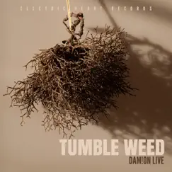 Tumble Weed (Calm Edit) Song Lyrics