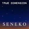 True Dimension - EP album lyrics, reviews, download