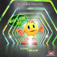 What You Gone Do (feat. juju & ani) - Single by DJ Lilman album reviews, ratings, credits