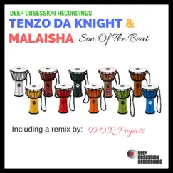 Son of the Beat - Single by Tenzo Da Knight & Malaisha album reviews, ratings, credits