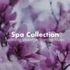 Spa Collection - Soothing Massage Therapy Music, Spa Meditation, Best Spa Music with Nature Sounds album lyrics, reviews, download