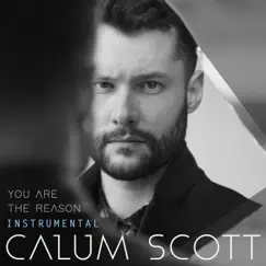 You Are The Reason (Instrumental) - Single by Calum Scott album reviews, ratings, credits