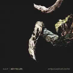 Key to Life (Ambassadeurs Remix) - Single by Kauf album reviews, ratings, credits